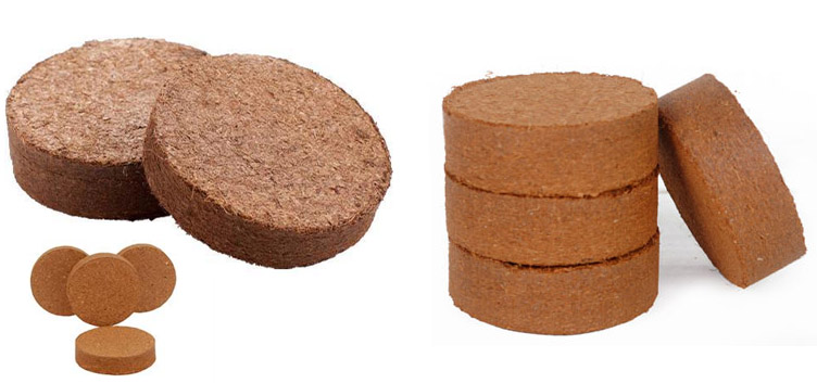 Coco Peat Discs